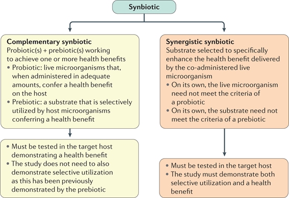 Simbióticos complementarios y sinérgicos
