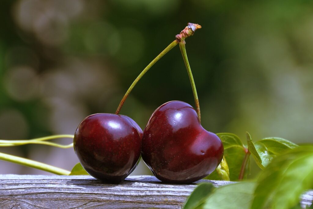 Cerezas, fuente de melatonina