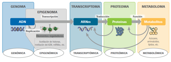 Las ciencias ómicas son áreas de investigación muy recientes