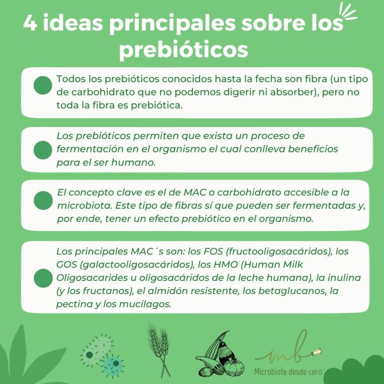 Infografía de ideas principales sobre los prebióticos