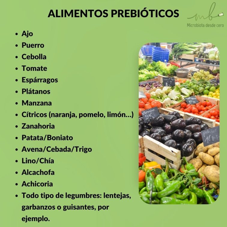 Infografía sobre alimentos prebióticos