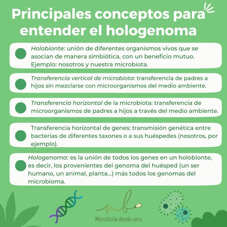 Infografía sobre el concepto de hologenoma