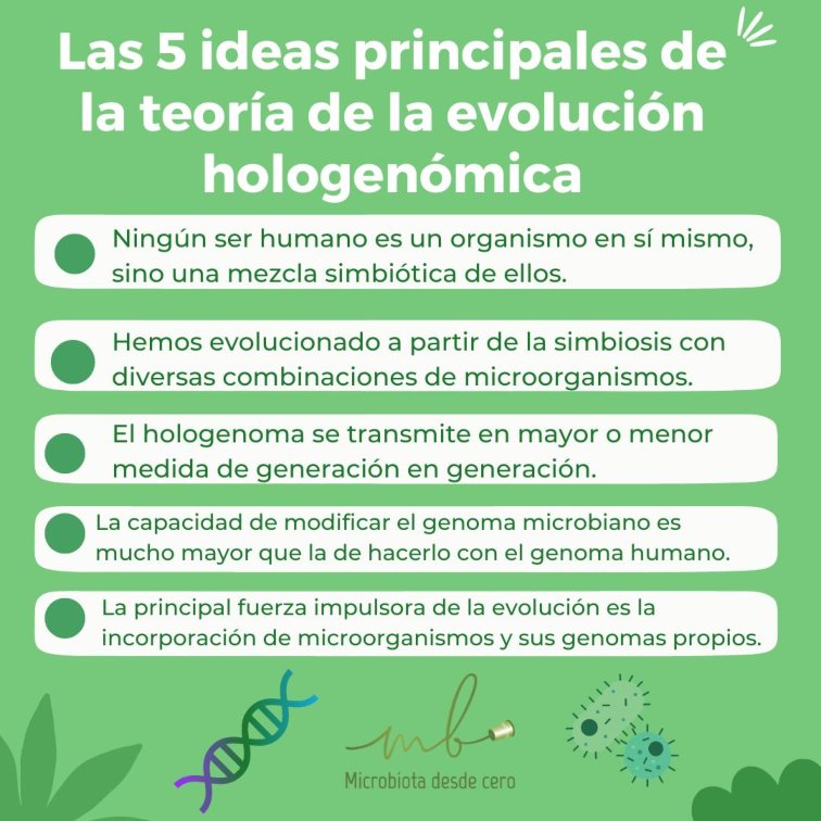 Infografía sobre la teoría de la evolución hologenómica