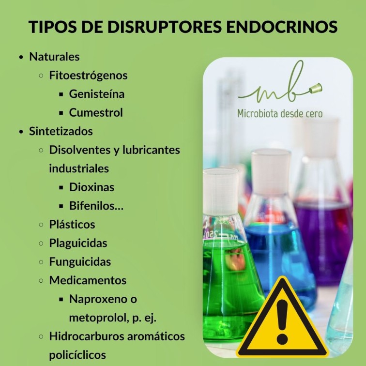 Infografía disruptores endocrinos tipos