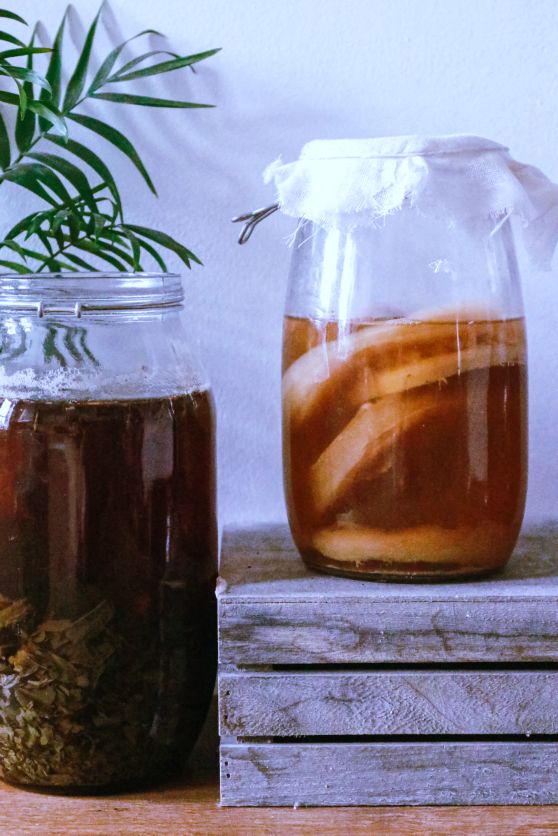 Kombucha casera, un probiótico natural