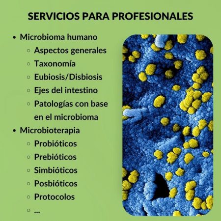 Resumen de servicios para profesionales